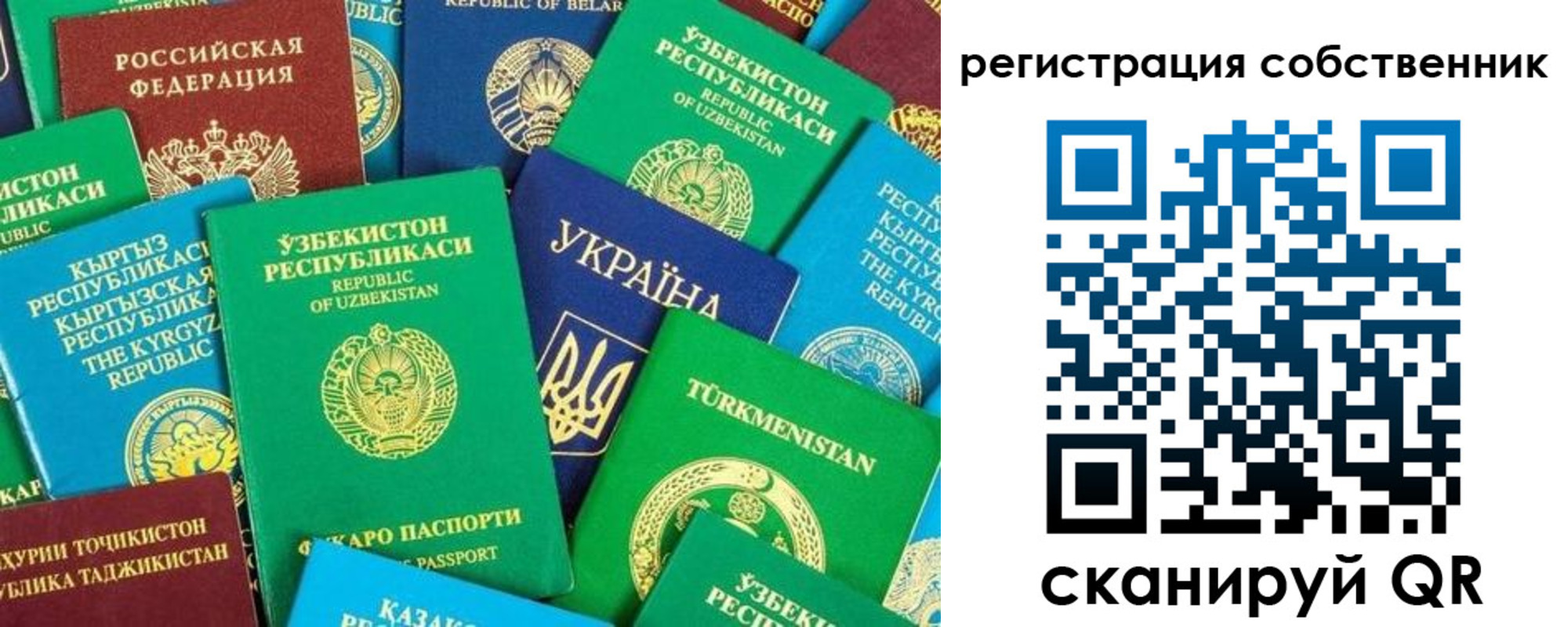 прописка в Мончегорске